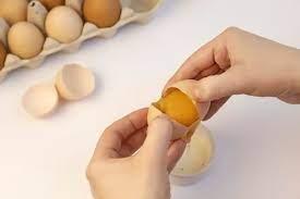 تاثیر تخم مرغ در پخت کیک -پرگاس نوین